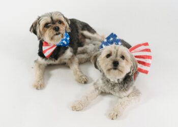 Celebrity-Owned Puppy Names: A Glimpse into the Adorable World of A-Lister Dogs