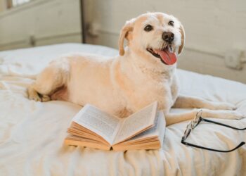 A Name to Cherish: Tips for Choosing the Ideal Puppy Moniker