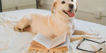 A Name to Cherish: Tips for Choosing the Ideal Puppy Moniker