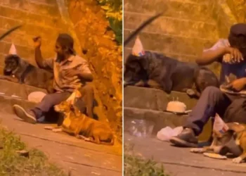 Homeless Man Spotted Organising a Birthday Party for His Dogs