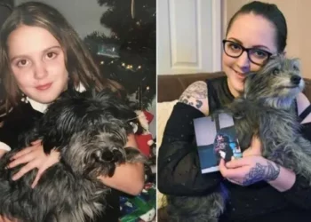 Woman Rescues Older Dog from Shelter, Discovers It’s Her Long-Lost Childhood Pet
