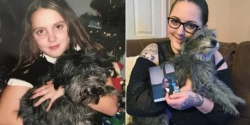 Woman Rescues Older Dog from Shelter, Discovers It’s Her Long-Lost Childhood Pet