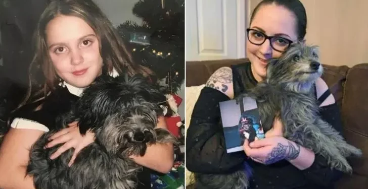 Woman Rescues Older Dog from Shelter, Discovers It’s Her Long-Lost Childhood Pet