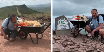 Video: Man Carries His Ill Dog Up Beloved Mountain in a Wheelbarrow for One Final Journey