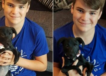 Teen Facing Bullying Discovers a Unique Friendship in a Six-Legged Puppy Deemed ‘Unwanted’