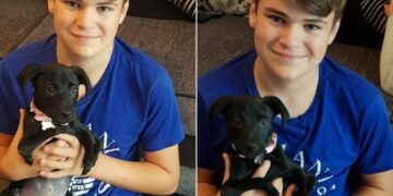 Teen Facing Bullying Discovers a Unique Friendship in a Six-Legged Puppy Deemed ‘Unwanted’