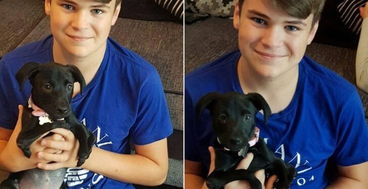 Teen Facing Bullying Discovers a Unique Friendship in a Six-Legged Puppy Deemed ‘Unwanted’