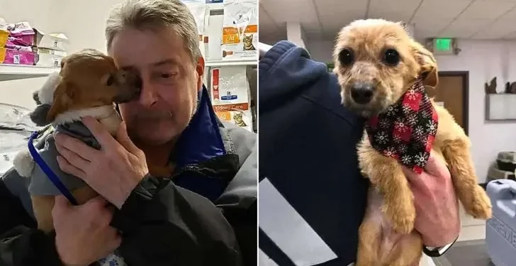 Puppy Found After Being Tossed from a Bridge with Mouth Taped Shut
