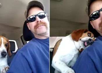 A Dog Saved from Euthanasia Can’t Hold The Joy