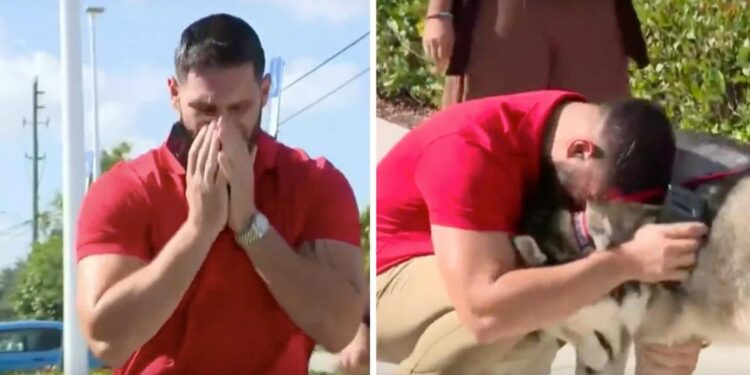 Man Unexpectedly Finds His Lost Dogs During a Pet Adoption Photoshoot.