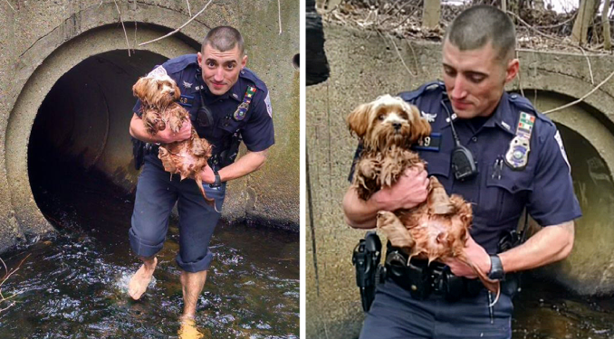 Barefooted Cop Braves Dark Tunnel to Save Scared Dog, Earning Admiration from All