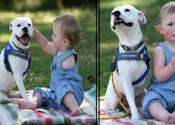 Journey of a One-Armed Girl and Her Special Three-Legged Friend