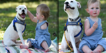 Journey of a One-Armed Girl and Her Special Three-Legged Friend