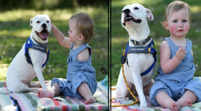 Journey of a One-Armed Girl and Her Special Three-Legged Friend