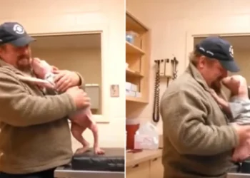 Man Saves His Life And Then Adopts The Adorable Pittie Mix Pup