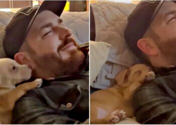 Grateful Pup Nods to Dad for Picking Him and Gently Falls Asleep