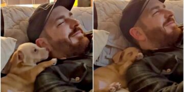 Grateful Pup Nods to Dad for Picking Him and Gently Falls Asleep