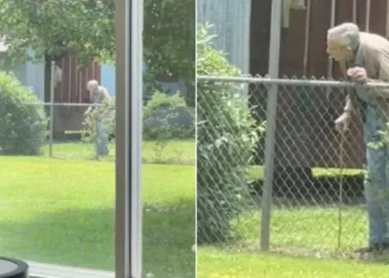 Old Man Shares the Sweetest Daily Routine with Neighborhood Puppies