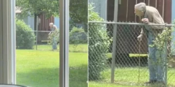 Old Man Shares the Sweetest Daily Routine with Neighborhood Puppies