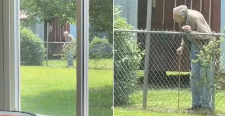 Old Man Shares the Sweetest Daily Routine with Neighborhood Puppies