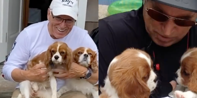 Before His Passing, Jimmy Buffett Shared a Video of His Dogs