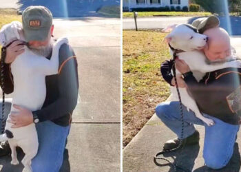 Shelter Dog Can’t Stop Hugging Her New Dad
