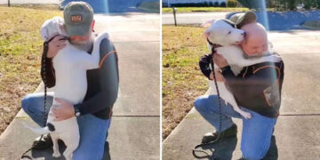 Shelter Dog Can’t Stop Hugging Her New Dad