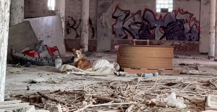 Two Courageous Rescuers Discover a Dog Wrapped in a Dirty Blanket and Save Her from the Streets