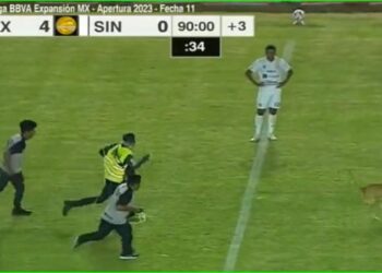 Dog Makes Mess at Soccer Game by Taking Ball and Running Faster than Players