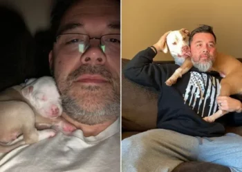 Big Dog Still Naps on Dad’s Shoulder Like When She Was a Puppy