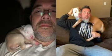 Big Dog Still Naps on Dad’s Shoulder Like When She Was a Puppy