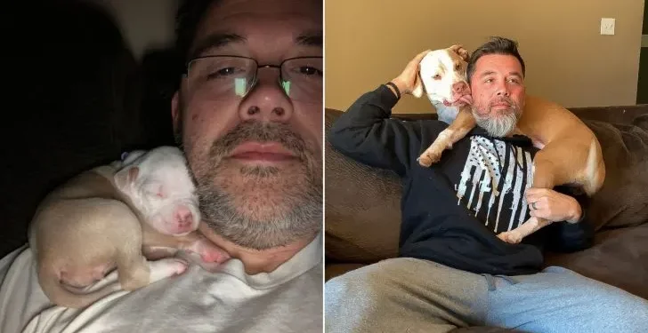 Big Dog Still Naps on Dad’s Shoulder Like When She Was a Puppy
