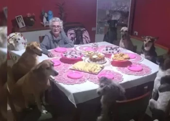 Grandma Celebrates Her 89th Birthday in the Company of Ten Dogs