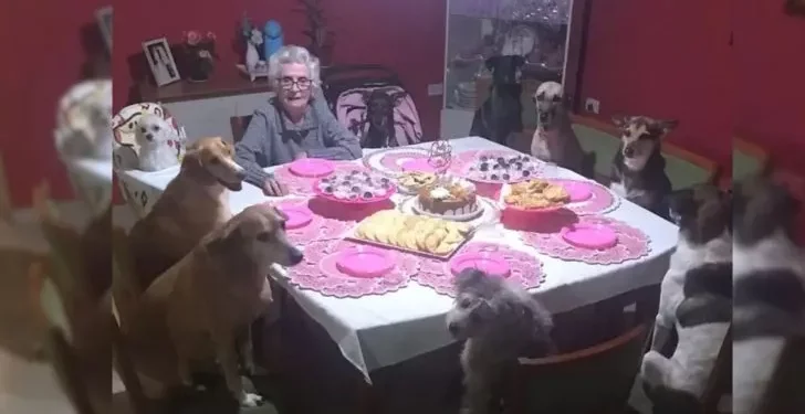 Grandma Celebrates Her 89th Birthday in the Company of Ten Dogs