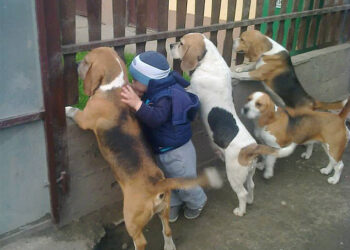 20 Photos Showing Kids and Pets Belong Together