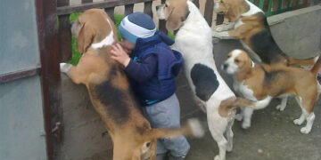 20 Photos Showing Kids and Pets Belong Together