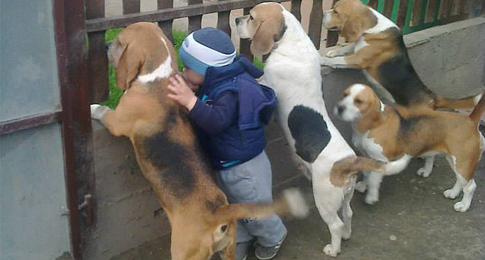 20 Photos Showing Kids and Pets Belong Together