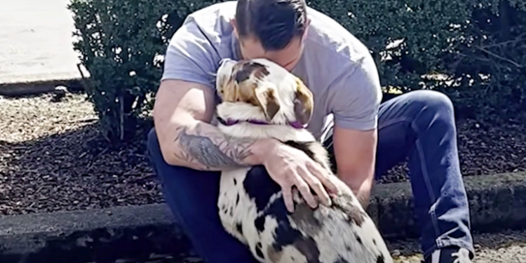 Man Rescues Scared Dog from Abandonment, Earns His Trust And Embrace