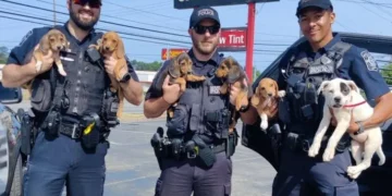 Police “K9 Unit” Find Six Lost Puppies After They Sneak Out