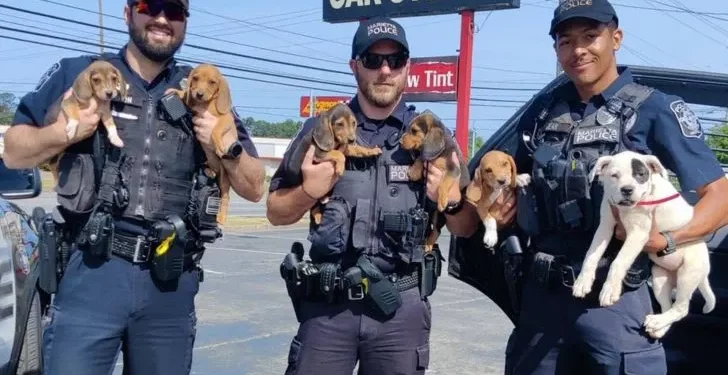 Police “K9 Unit” Find Six Lost Puppies After They Sneak Out