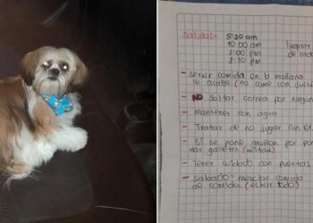 Taxi Driver Finds a Dog Left with a Note in His Cab by a Passenger