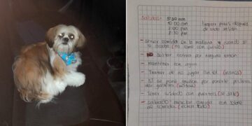 Taxi Driver Finds a Dog Left with a Note in His Cab by a Passenger