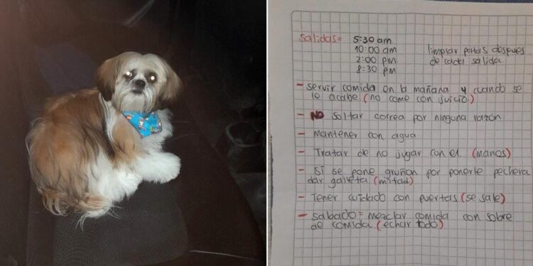 Taxi Driver Finds a Dog Left with a Note in His Cab by a Passenger