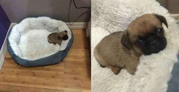 16 Pictures Guaranteed to Make You Happy