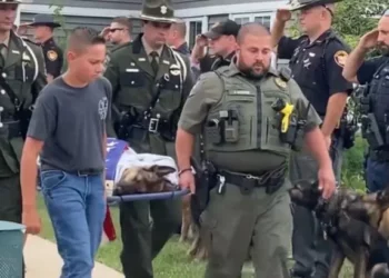 Final Tribute: Law Enforcements Honor K9 Tommy One Last Time Who Was Euthanized