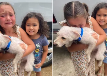 San Antonio Family Reunites with Lost Dog After Two Heartfelt Months