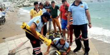 Firefighters Work with Mother Dog to Rescue Her Puppies from a Drain