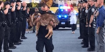Police Officers Bid Emotional Farewell to Brave K-9 During His Last Moments.