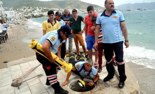 Firefighters Work with Mother Dog to Rescue Her Puppies from a Drain