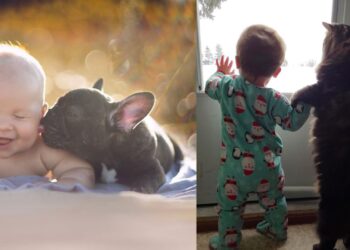 20 Sweet Pictures Showing Kids Should Have Pets